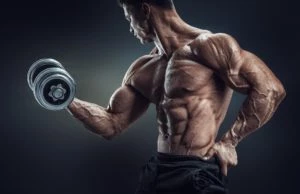Base for muscle growth