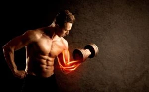 How to make muscles grow?