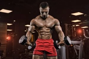 Bodybuilders have useless and unnecessary muscles